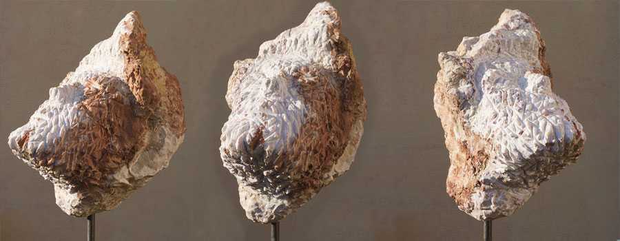 Untersberger Marmor, Konglomerat